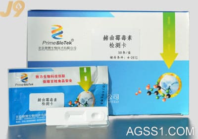 真菌分类检索表真测方法中国真菌志官网入口